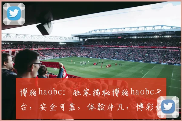 博狗haobc：独家揭秘博狗haobc平台，安全可靠，体验非凡，博彩娱乐首选平台
