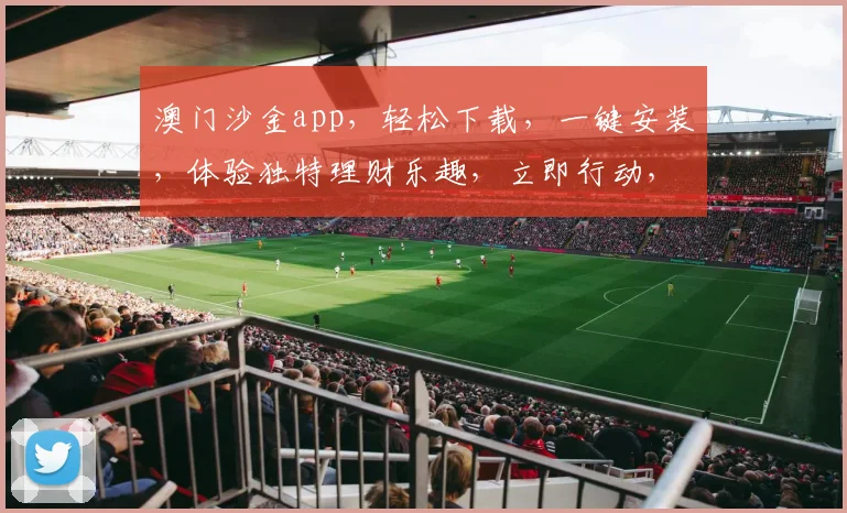 澳门沙金app，轻松下载，一键安装，体验独特理财乐趣，立即行动，不容错过